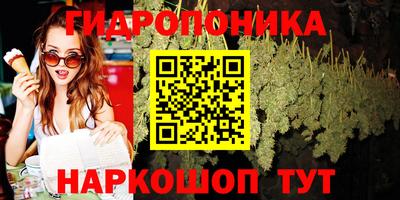 меф Краснознаменск